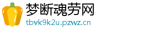 梦断魂劳网